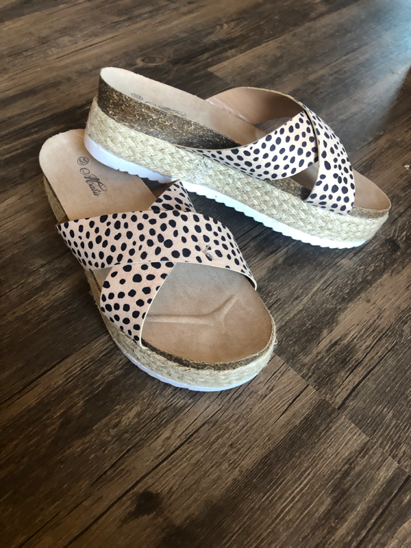 Cheetah Slides